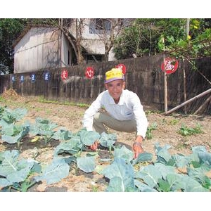 南投愛心菜圃 讓老人送餐吃得健康